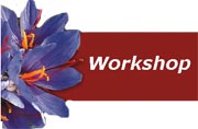 Saffron Meetings and Workshops